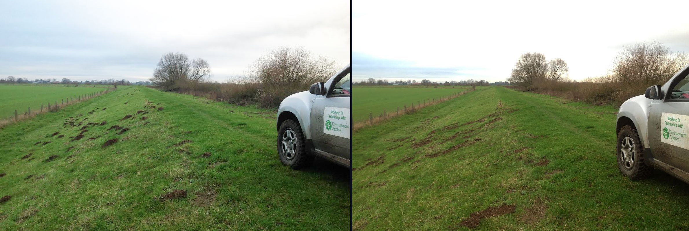 axholme-commercial-beforeafter Axholme Commercial Pest Control