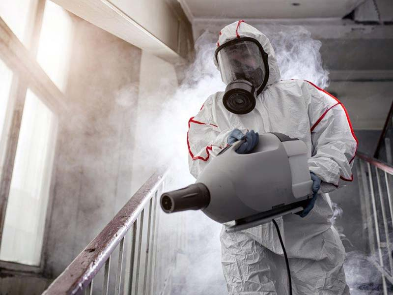 axhome-domestic-pest-services-body pest control Doncaster