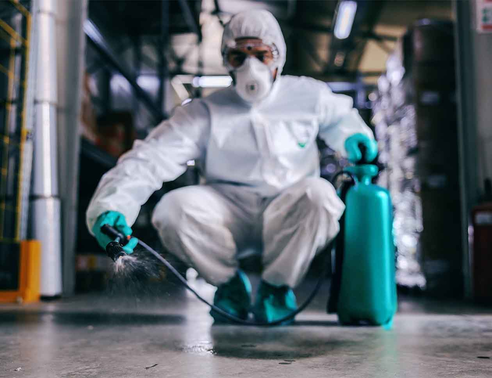 commercial-pest-control-services492x378 Man spraying commercial